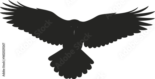 A digitally drawn black crow with outstretched wings facing forward on a white background plain style