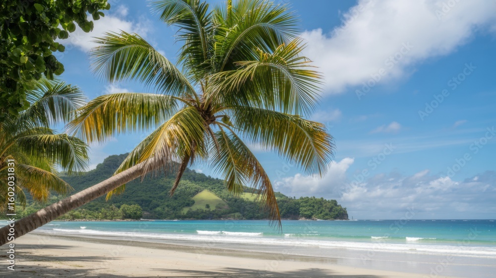 Obraz premium Tropical Beach with Palm Trees and Ocean View