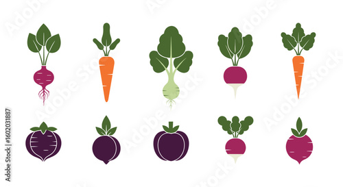 A collection of root vegetables and other produce for healthy eating choices