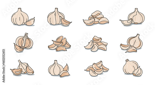 A collection of fresh garlic bulbs and peeled cloves ready for cooking