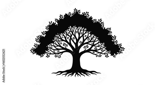 Elegant silhouette of a mighty oak tree with intricate branches and exposed roots