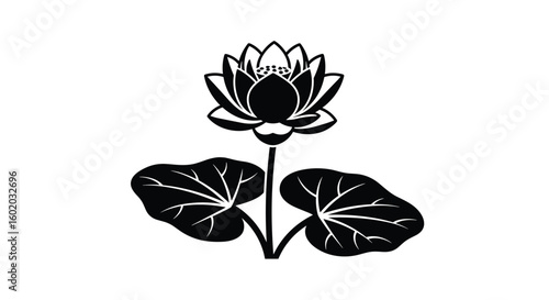 Elegant water lily with broad leaves symbolizing purity and enlightenment in nature
