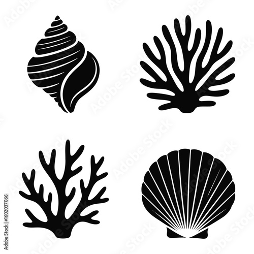 Black silhouette of seashell and coral branches on white background conch scallop