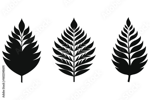 fern leaf black and white minimalist simple vector silhouettes set