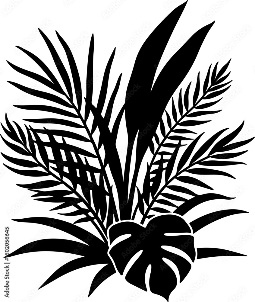 Tree cactus, agave, succulents, Summer day black and white, Tree cactus, agave, succulents, Summer day black and white,