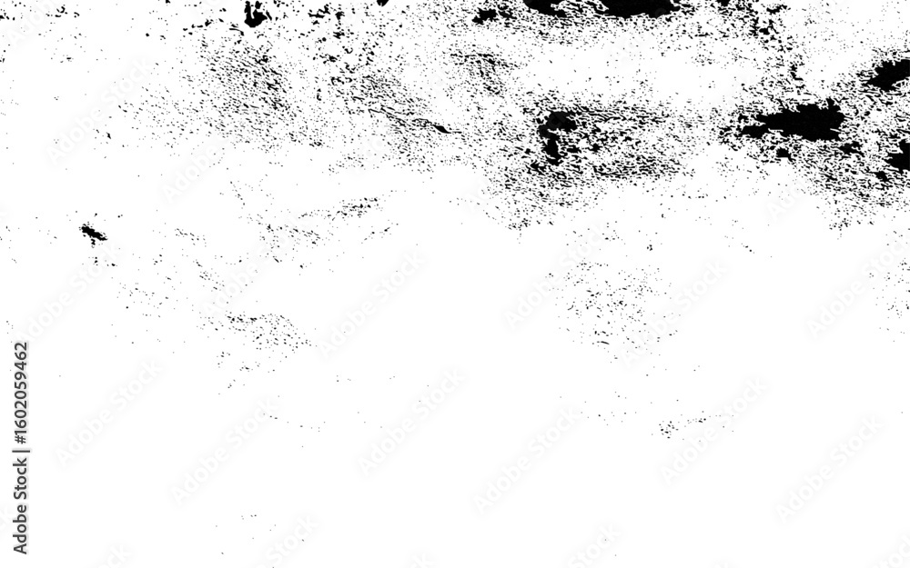 Fototapeta premium Abstract white and black cement wall texture and background