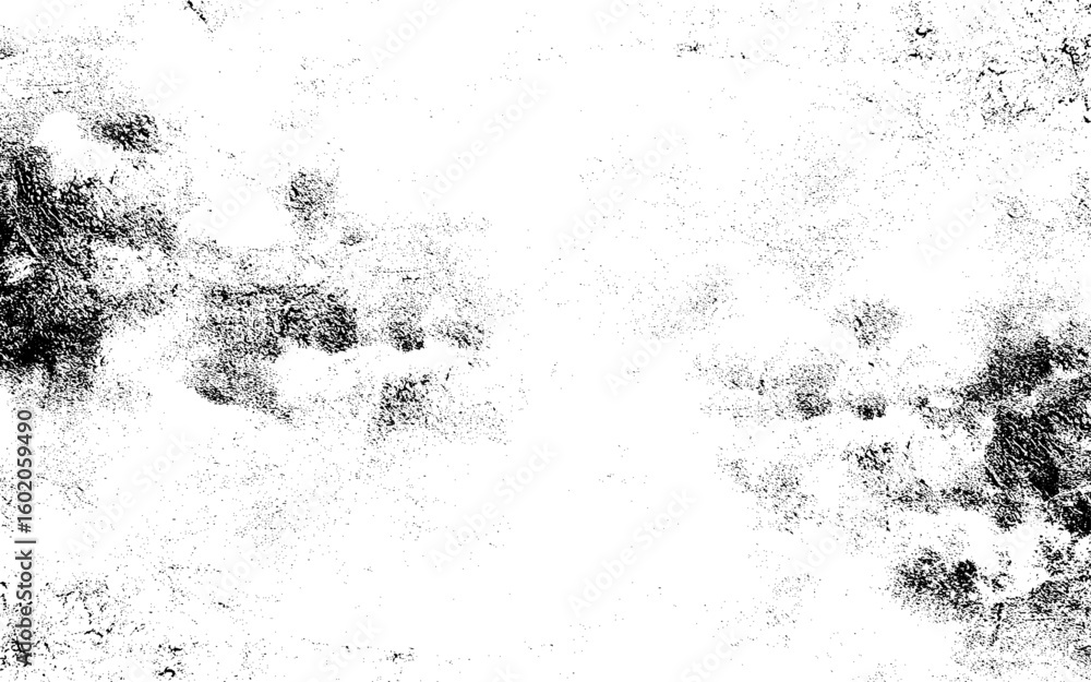 Fototapeta premium Abstract white and black cement wall texture and background