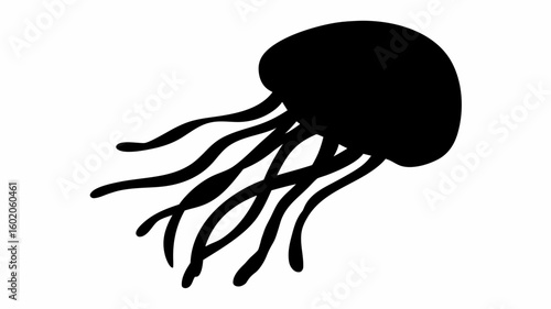 Silhouette of a jellyfish with long tentacles floating in the water against a white background view