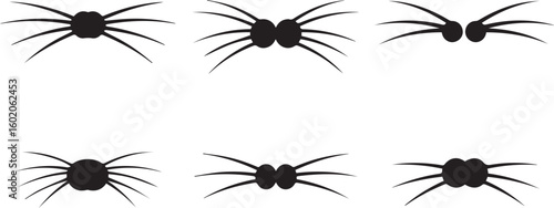 Cat Whisker Close-Up Silhouette Icon Vector Set – Minimal Facial Detail Design