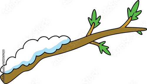 leaf plant nature green isolated branch tree spring