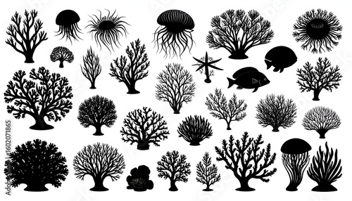 Ocean Life Silhouettes Coral with Jellyfish.