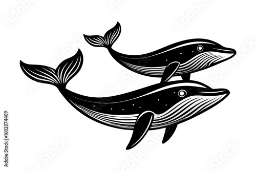 Two stylized black and white whales swimming together in a playful pose