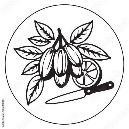 Hand drawn illustration of cocoa pods with leaves a slice of citrus fruit and a knife within a circle