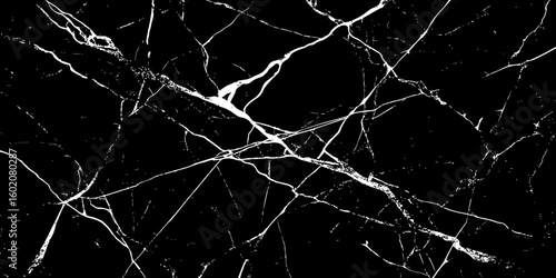 A high-contrast, black and white image showcasing intricate, shattered white lines resembling cracked ice or veins against a deep, solid black background. The lines crisscross and branch out, 