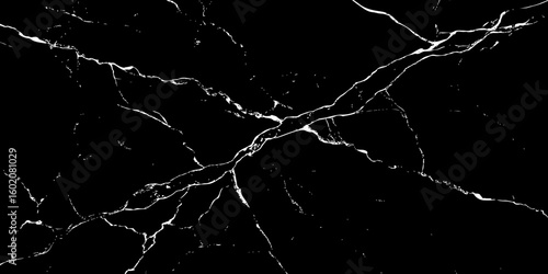 A high-contrast, black and white image showcasing intricate, shattered white lines resembling cracked ice or veins against a deep, solid black background. The lines crisscross and branch out, 