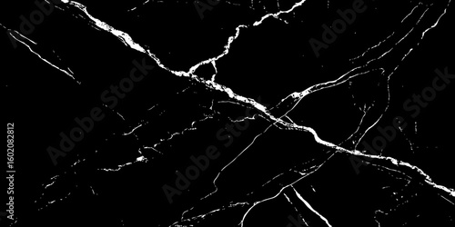 A high-contrast, black and white image showcasing intricate, shattered white lines resembling cracked ice or veins against a deep, solid black background. The lines crisscross and branch out, 
