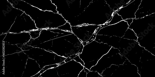 A high-contrast, black and white image showcasing intricate, shattered white lines resembling cracked ice or veins against a deep, solid black background. The lines crisscross and branch out, 