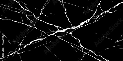 A high-contrast, black and white image showcasing intricate, shattered white lines resembling cracked ice or veins against a deep, solid black background. The lines crisscross and branch out, 