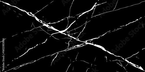 A high-contrast, black and white image showcasing intricate, shattered white lines resembling cracked ice or veins against a deep, solid black background. The lines crisscross and branch out, 