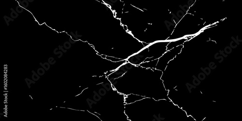 A high-contrast, black and white image showcasing intricate, shattered white lines resembling cracked ice or veins against a deep, solid black background. The lines crisscross and branch out, 