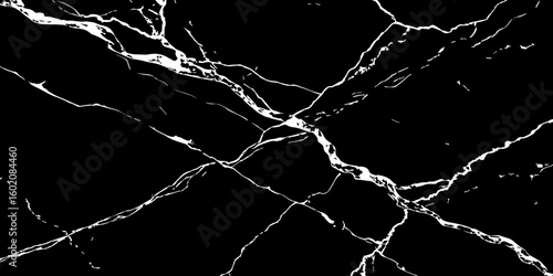 A high-contrast, black and white image showcasing intricate, shattered white lines resembling cracked ice or veins against a deep, solid black background. The lines crisscross and branch out, 