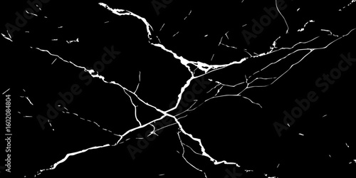 A high-contrast, black and white image showcasing intricate, shattered white lines resembling cracked ice or veins against a deep, solid black background. The lines crisscross and branch out, 