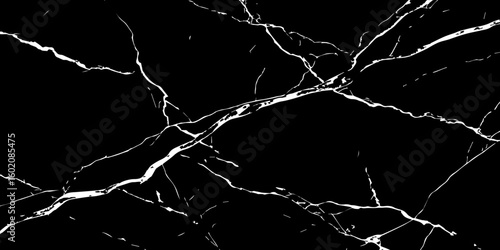 A high-contrast, black and white image showcasing intricate, shattered white lines resembling cracked ice or veins against a deep, solid black background. The lines crisscross and branch out, 