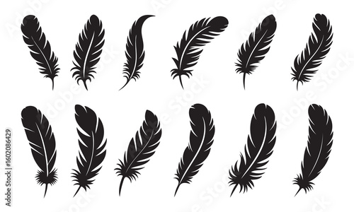 Black feathers silhouette icon set vector art illustration