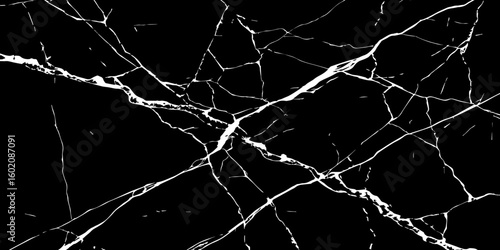 "A striking, high-contrast black and white abstract pattern resembling fractured glass or lightning bolts across a dark sky, emphasizing sharp lines and dynamic tension."
