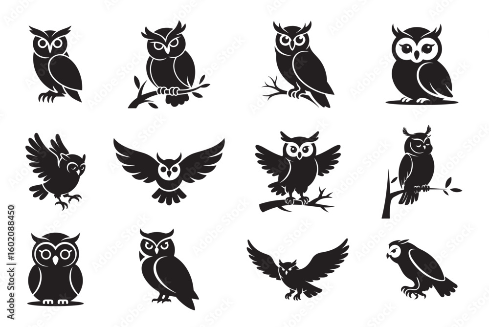 Fototapeta premium cute Owl silhouette, Owl face silhouette, Set of cute owl with different pose vector silhouette Owl silhouettes, Barn cute owl silhouette, Owl silhouettes vector illustration, Owl clip art