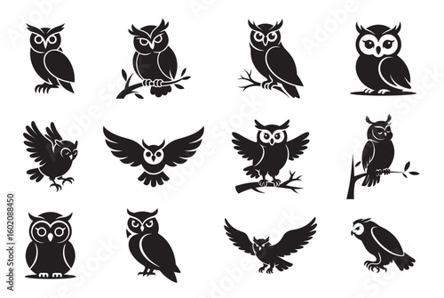 cute Owl silhouette, Owl face silhouette, Set of cute owl with different pose vector silhouette Owl silhouettes, Barn cute owl silhouette, Owl silhouettes vector illustration, Owl clip art