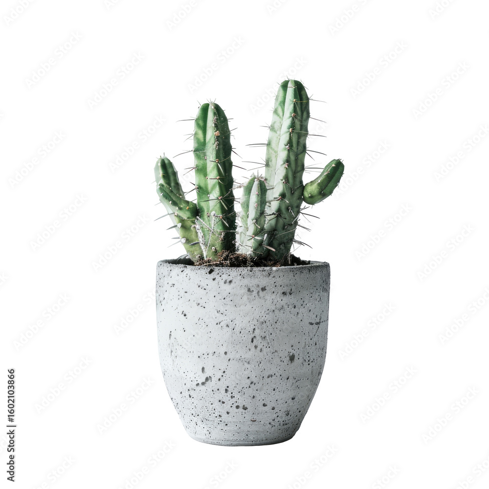 Small, light gray speckled concrete pot holding a light green cactus with sharp spines Small, light gray speckled concrete pot holding a light green cactus with sharp spines
