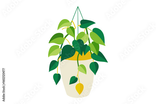 hanging pothos plant white pot illustration
