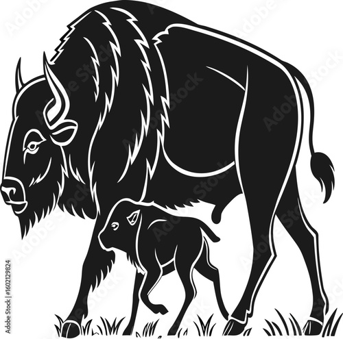 Buffalo and calf walking together