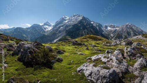 Wallpaper Mural Mountain meadow with rocky peaks Torontodigital.ca