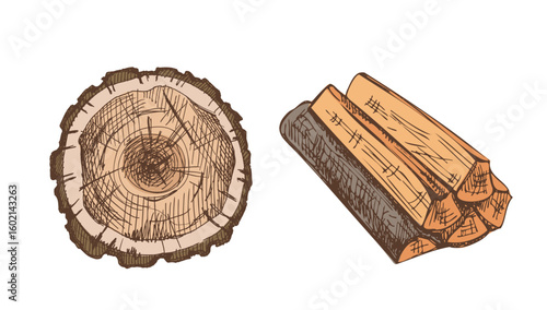 Hand drawn vintage sketch of wooden firewood pile and cut tree stump in color rustic vector style