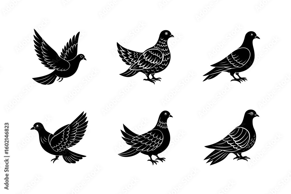 Fototapeta premium silhouette of a dove clear art vector