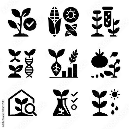 Vector lab icons corn icon genetics agricultural seed crop resistance graph plant