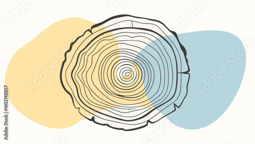 Tree ring growth rings wood texture annual rings tree trunk section tree age nature symbol design element