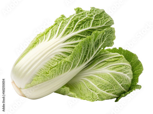 Fresh Chinese cabbage showcases vibrant green leaves and crisp texture, perfect for salads and stir fries