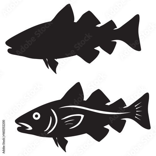 Atlantic cod fresh, Gadus morhua, fish of Greenland, cod fish vector 
