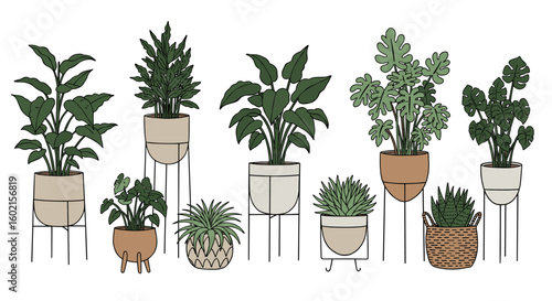 Modern houseplants on stylish planters in minimalist line art