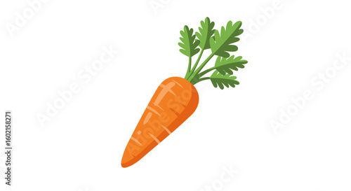 Fresh carrot icon with green leaves on white background