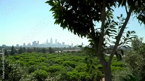 Lush green park view, city skyline in distance, framed by trees