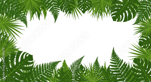 Tropical green leaves border with ferns and palm patterns on white bac