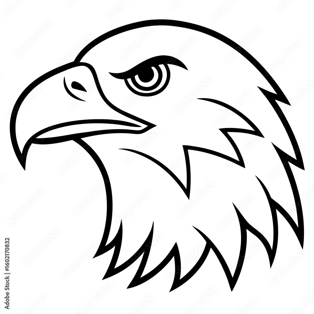 Fototapeta premium Eagle Head