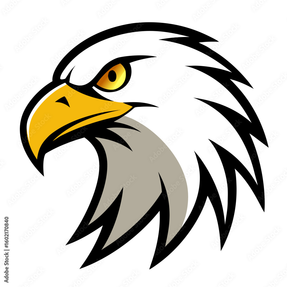 Fototapeta premium Eagle Head