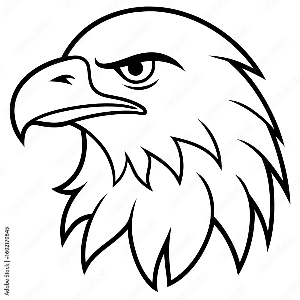 Fototapeta premium Eagle Head