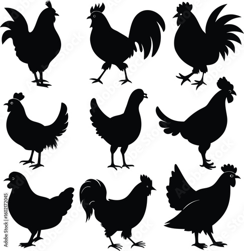 Chicken farm animal and poultry bird silhouette vector icon collection