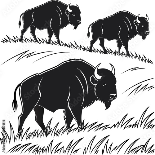  Small buffalo herd in farm